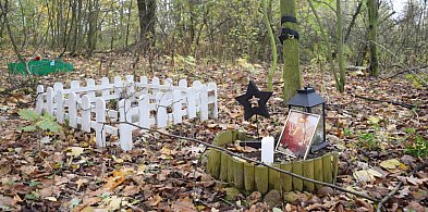 Cmentarz zwierząt pod Głogowem. Coraz więcej osób chowa pupila jak bliską osobę-176021