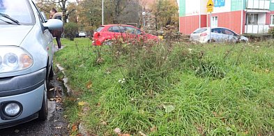 Obiecują, że w Głogowie spełnią obietnice. Poważna sprawa z koszeniem-176099