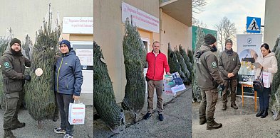 Rekord dla życia w Głogowie. Krwiodawcy i leśnicy świetnie się spisali [FOTO]-178638