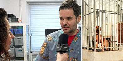 Doktor Piotr z Głogowa: Ta jedna noc jest trudna dla zwierząt [WIDEO]-179209