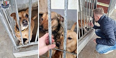 Policjanci wsparli głogowskie schronisko dla zwierząt-179317