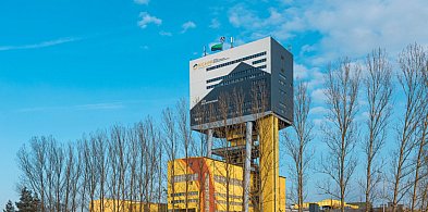 KGHM wyłożył projekt planu urządzenia lasu. Zaprasza do konsultacji-179494