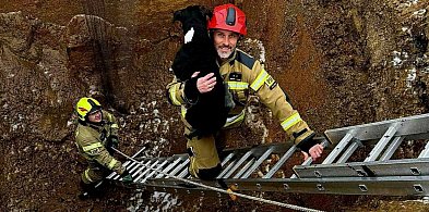 Zwierzak w wielkim wykopie. Akcja z psem w Gaworzycach