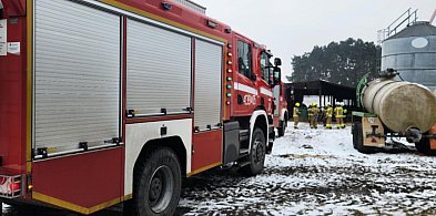 Niecodzienna akcja strażaków. Psy uwięzione w podajniku do zboża
