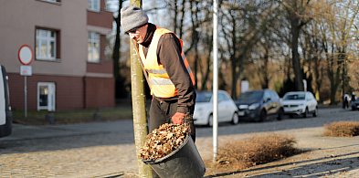 [FOTO] Ruszyło wiosenne sprzątanie w Głogowie. Al. Wolności już lśni