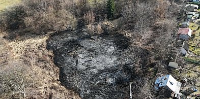 Dym nad działkami w Głogowie. Strażacy interweniowali