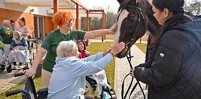 Dotknąć konia w głogowskim hospicjum. Niecodzienna i wzruszająca wizyta [FOTO]
