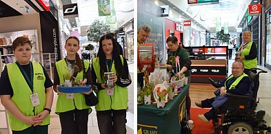 W Głogowie niedziela handlowa z misją. Wolontariusze zbierają na hospicjum