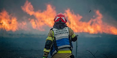 Tu musi grasować podpalacz. Ciągle płoną trzcinowiska w Przemkowie [FOTO]