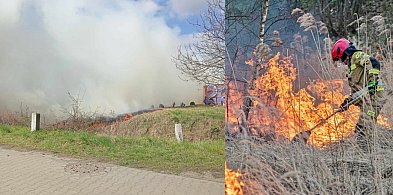 Paliło się przy torach w Głogowie. Musieli wstrzymać pociągi