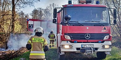 Trzy pożary w jednym miejscu. Gorąca sobota w Przemkowie [FOTO]