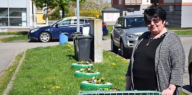 [WIDEO] Sadzonki w oponkach. Pani Leokadia ukwieciła głogowskie osiedle