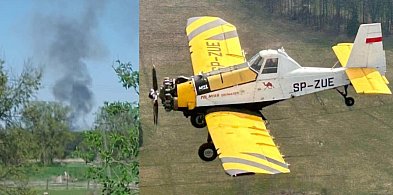 Pożar lasu w Wojszynie. Spłonęły cztery hektary