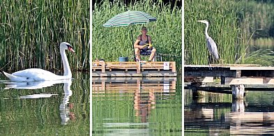 Mnóstwo wody i piękna przyroda dla ochłody. Wystarczy odpłynąć od plaży