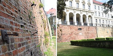 Są chętni do wyremontowania fosy. Czy miasto dołoży pieniędzy?