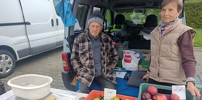 Takie owoce starych odmian rzadko można spotkać-175635