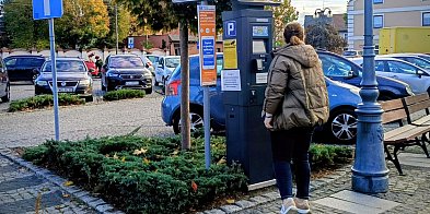 Wszystkie parkingi za darmo-175733