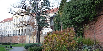 W fosie w Głogowie piękna jesień, a szykują się duże zmiany [FOTO]-176759