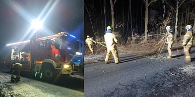 Kierowcy zagrożeni pod Krzepielowem-179326