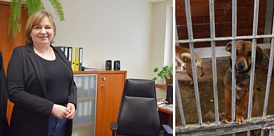 Trzy kontrole w jednym schronisku w Głogowie! Co wykazały inspekcje? [WIDEO]