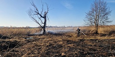 Pożary w Głogowie i Przedmościu. Ruszył sezon na płonące trawy