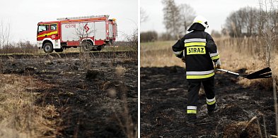 [FOTO] Ogień tuż przy drodze. Strażacy: to było podpalenie