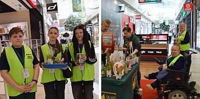 W Głogowie niedziela handlowa z misją. Wolontariusze zbierają na hospicjum