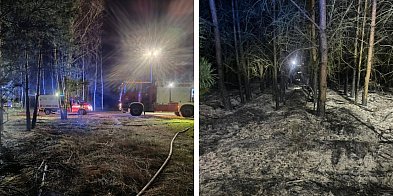 Pożar lasu za Radwanicami. Ugasili go ochotnicy