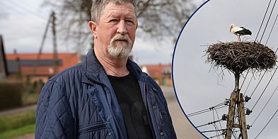 Bociany wybierają Chociemyśl