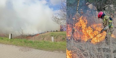 Paliło się przy torach w Głogowie. Musieli wstrzymać pociągi