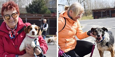 [FOTO] Wzruszająca akcja w schronisku dla zwierząt