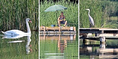Mnóstwo wody i piękna przyroda dla ochłody