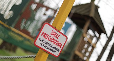 Park linowy do remontu. Inaczej grozi mu zamknięcie