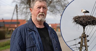 [WIDEO] Bociany wybierają Chociemyśl. Już się rodzi więcej dzieci!