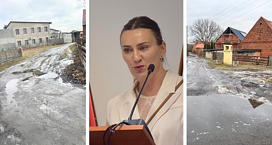 Mieszkańcy Starych Serbów przyszli do radnych z problemem drogi
