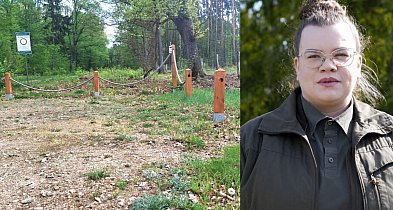 Parking w lesie okradziony. Sprawa trafi pod lupę kamer