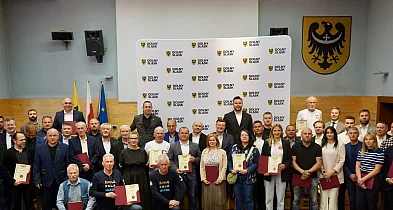 Pszczoły pod ochroną regionu. Milion złotych dla pszczelarzy