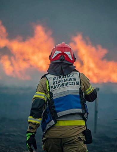 Tu musi grasować podpalacz. Ciągle płoną trzcinowiska w Przemkowie [FOTO]
