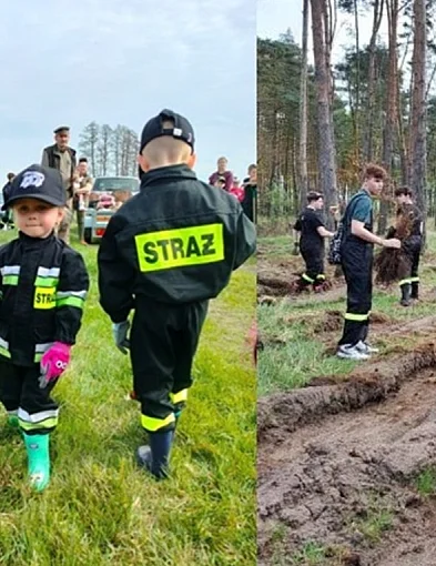 Pożyteczna sobota w lesie. Posadzą drzewa pod Wilkowem