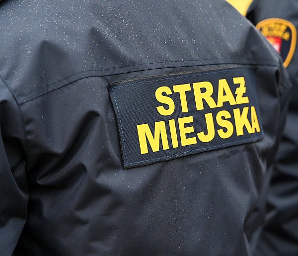 Zapuka strażnik, zapłacisz karę. Ruszyły kontrole w całej Polsce-175043