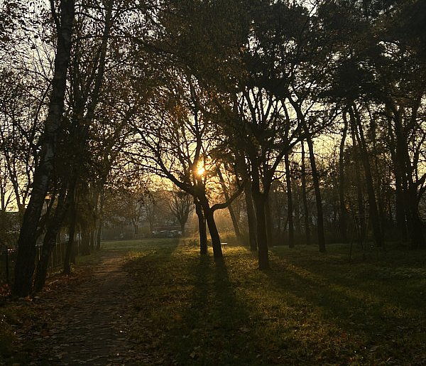 Nadchodzi najkrótszy dzień w 2025 roku. Sprawdź, kiedy przypadnie-178747