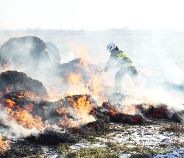 Pożar w Przedmościu. Strażacy w akcji [FOTO]-179464