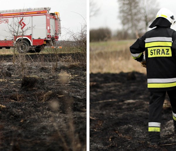 [FOTO] Ogień tuż przy drodze. Strażacy: to było podpalenie