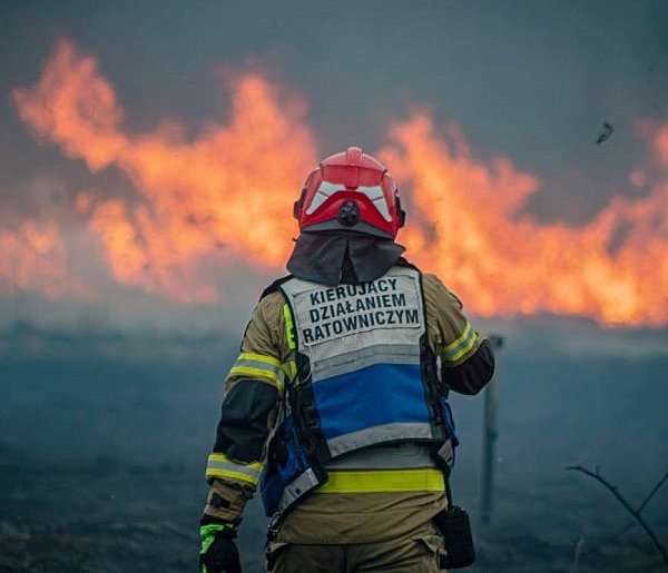 Tu musi grasować podpalacz. Ciągle płoną trzcinowiska w Przemkowie [FOTO]