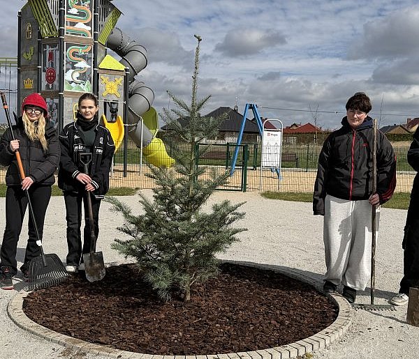 Nowa jodła kalifornijska w Nielubi – centrum świątecznych spotkań mieszkańców