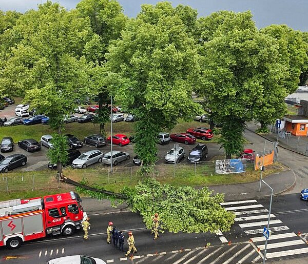 Burza nad Głogowem. Drzewo runęło na jezdnię przy stadionie
