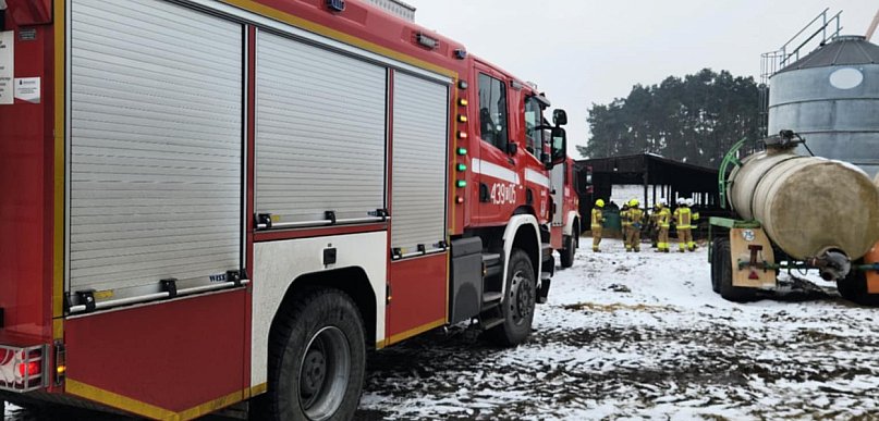 Niecodzienna akcja strażaków. Psy uwięzione w podajniku do zboża