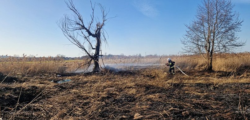 Pożary w Głogowie i Przedmościu. Ruszył sezon na płonące trawy