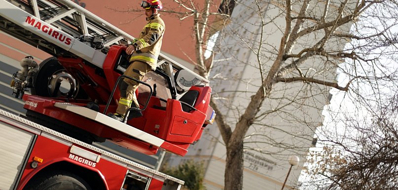 Kot uwięziony na drzewie. Na ratunek ruszyli strażacy