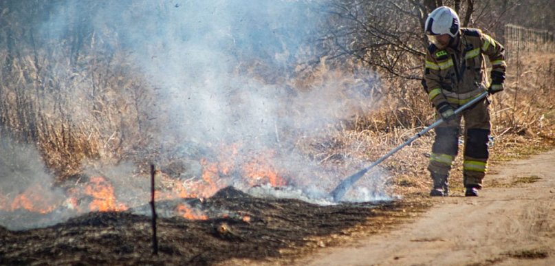 Pożar w Grodźcu Małym. Strażacy walczą z plagą pod Głogowem